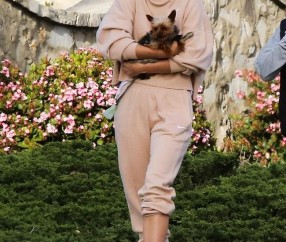 亚博体育-莎拉波娃赛事官方发布赛事规则更新新规，日本队争议不断！的简单介绍